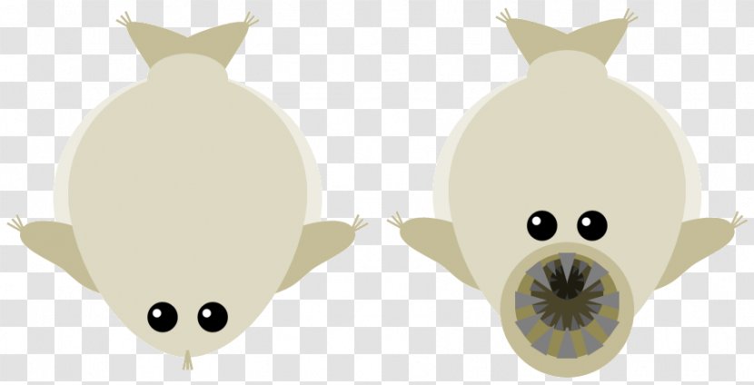 Whale Cartoon - Squid - Earrings Beige Transparent PNG