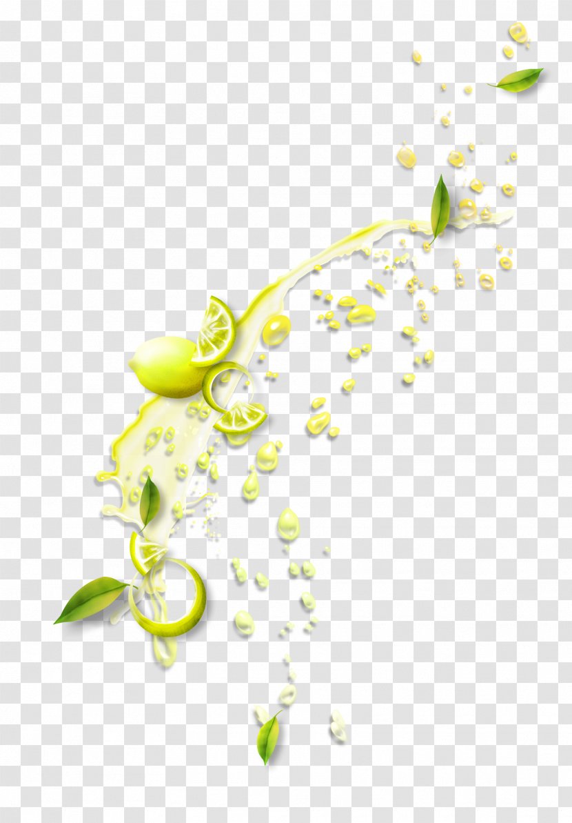 Lemon Juice - Fruit - Splash Of Transparent PNG