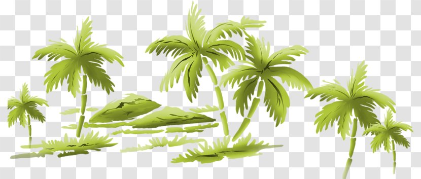 Floral Design Art Desktop Wallpaper Clip - Palm Tree - Flower Transparent PNG