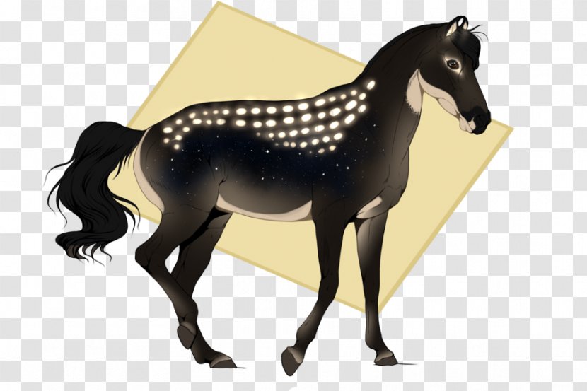 Mustang Stallion Foal Colt Mare - Mane Transparent PNG
