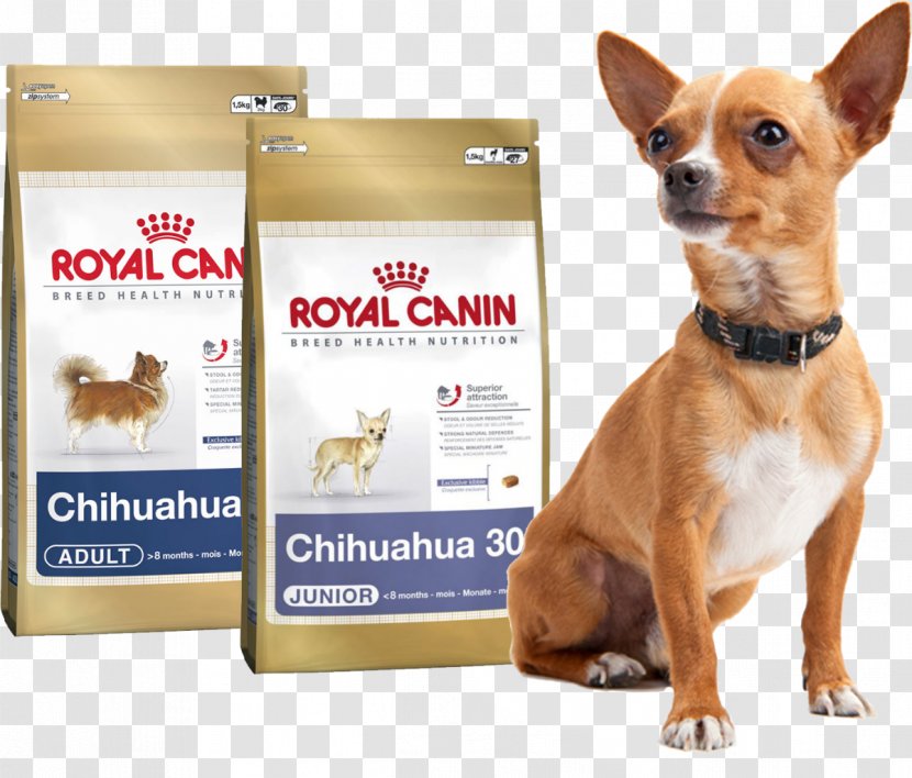 Dog Breed Chihuahua Puppy Cat Yorkshire Terrier - Food Transparent PNG