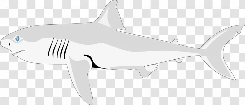 Tiger Shark Chondrichthyes Fish Requiem Transparent PNG
