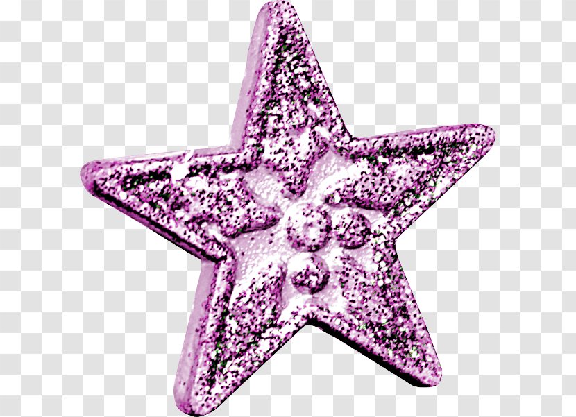 Starfish Pink M Transparent PNG