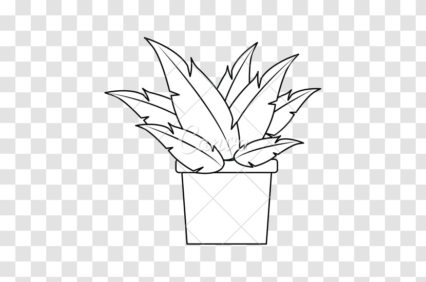 Plant Photography - Potted Plants Transparent PNG