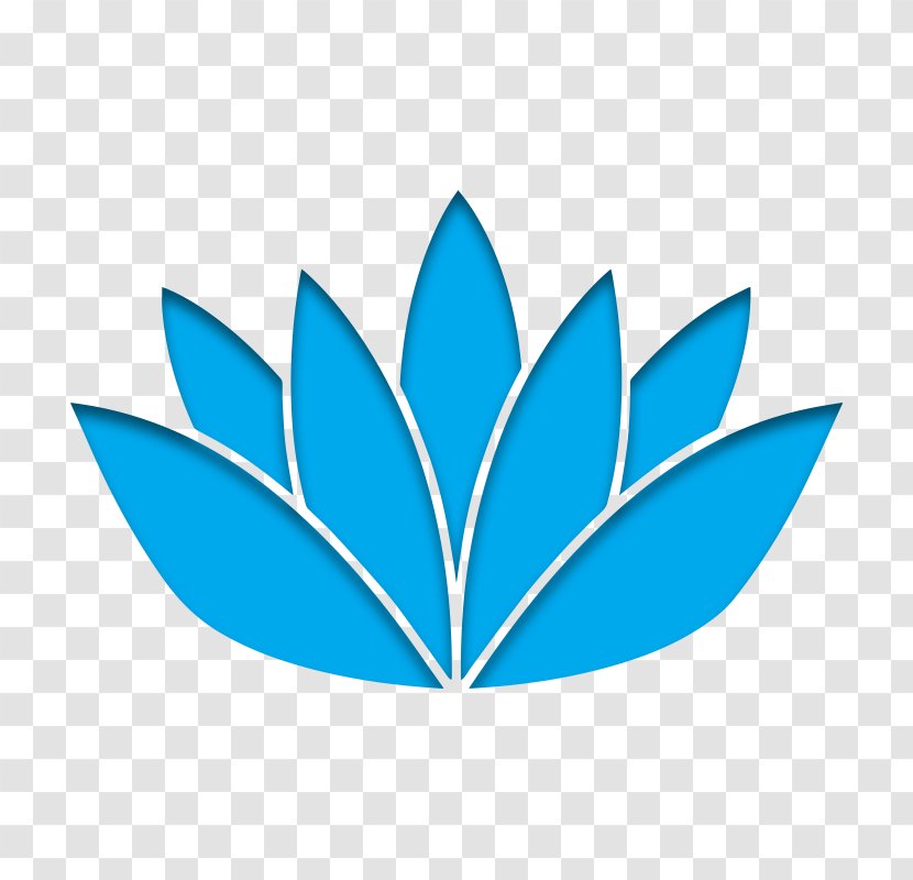 Floral Art & Design Clip - Leaf Transparent PNG