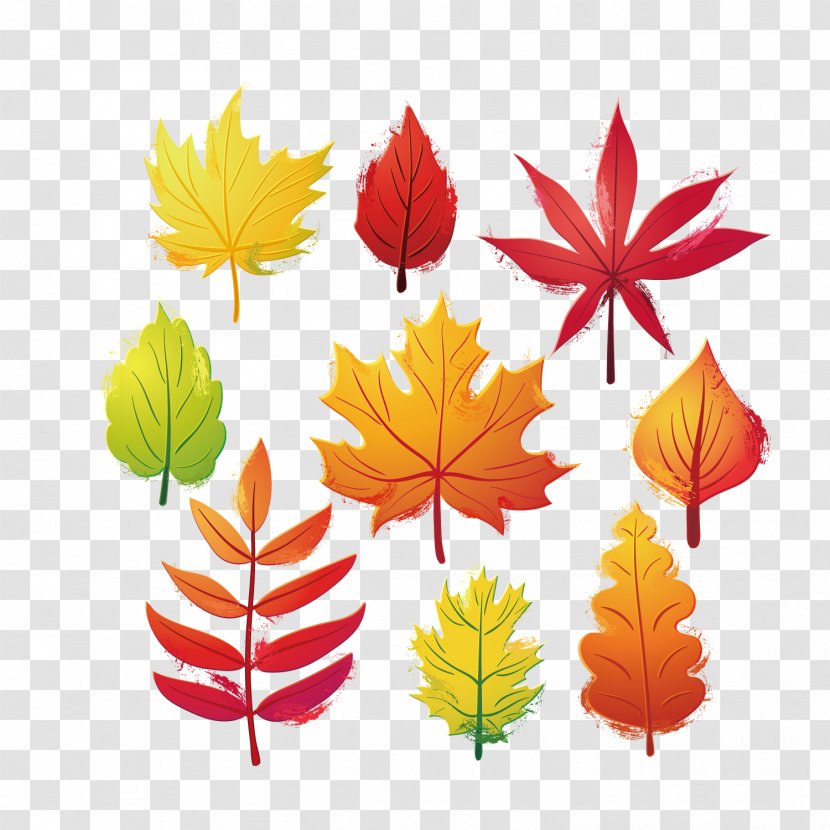 Autumn Leaf Clip Art - Plant - Leaves Image Transparent PNG