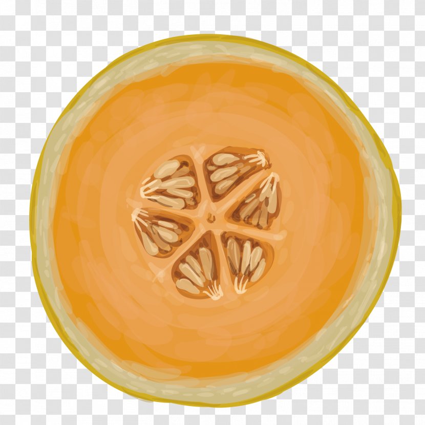 Hami Melon Cantaloupe - Cup - Vector Transparent PNG