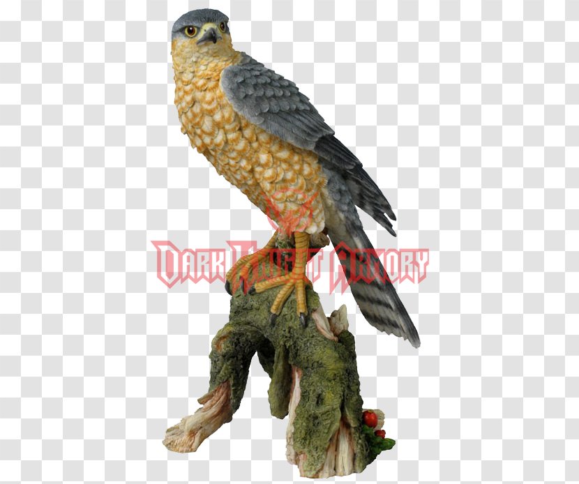 Bird Eurasian Sparrowhawk Sculpture Statue - Bronze - Sparrow Hawk Transparent PNG