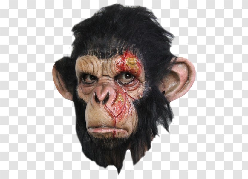 Chimpanzee Ape Latex Mask Halloween Costume - Primate Transparent PNG