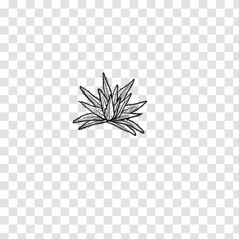 Drawing Black And White - Tree - Aloe Transparent PNG