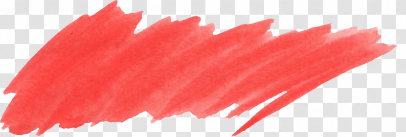 Close-up - Closeup - Red Transparent PNG