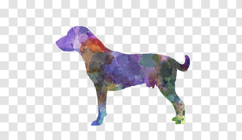 Dog Breed Labrador Retriever German Shorthaired Pointer Australian Shepherd - Romero Transparent PNG