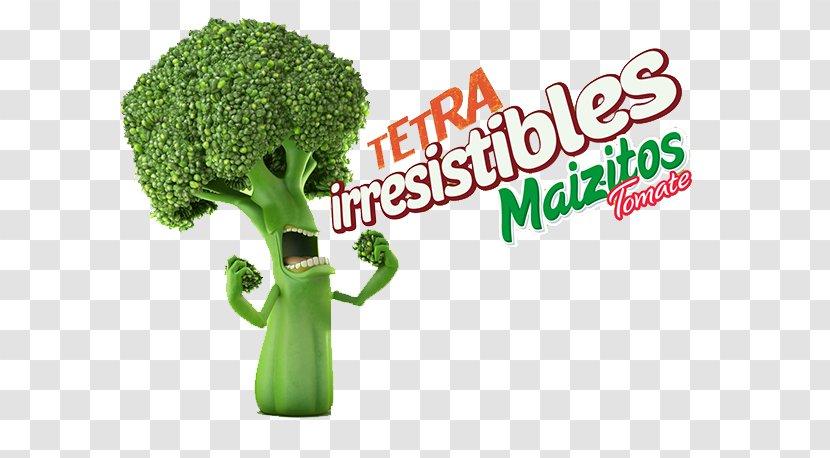 Vegetable Broccoli Graphic Design - Product Transparent PNG