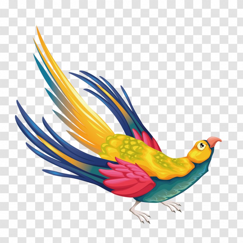Phoenix Euclidean Vector - Bird - In The Transparent PNG