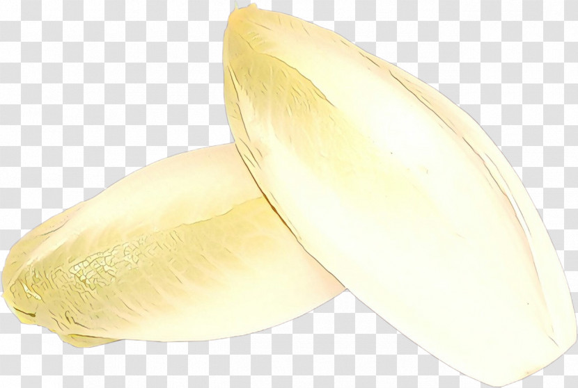 Endive Food Plant Vegetable Transparent PNG