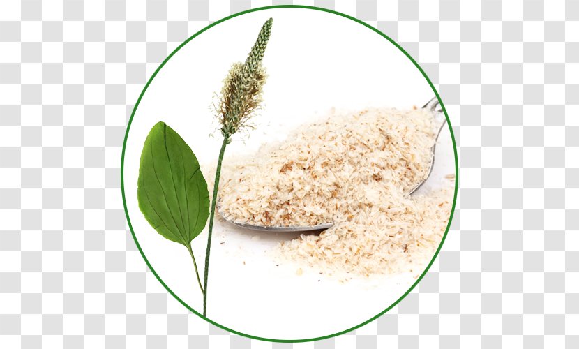 Dietary Supplement Plantago Ovata Psyllium Schluss Mit Reizdarm: Richtige Diagnose, Geeignete Ernährung, Erfolgreiche Therapie Sand Plantain - Superfood Transparent PNG