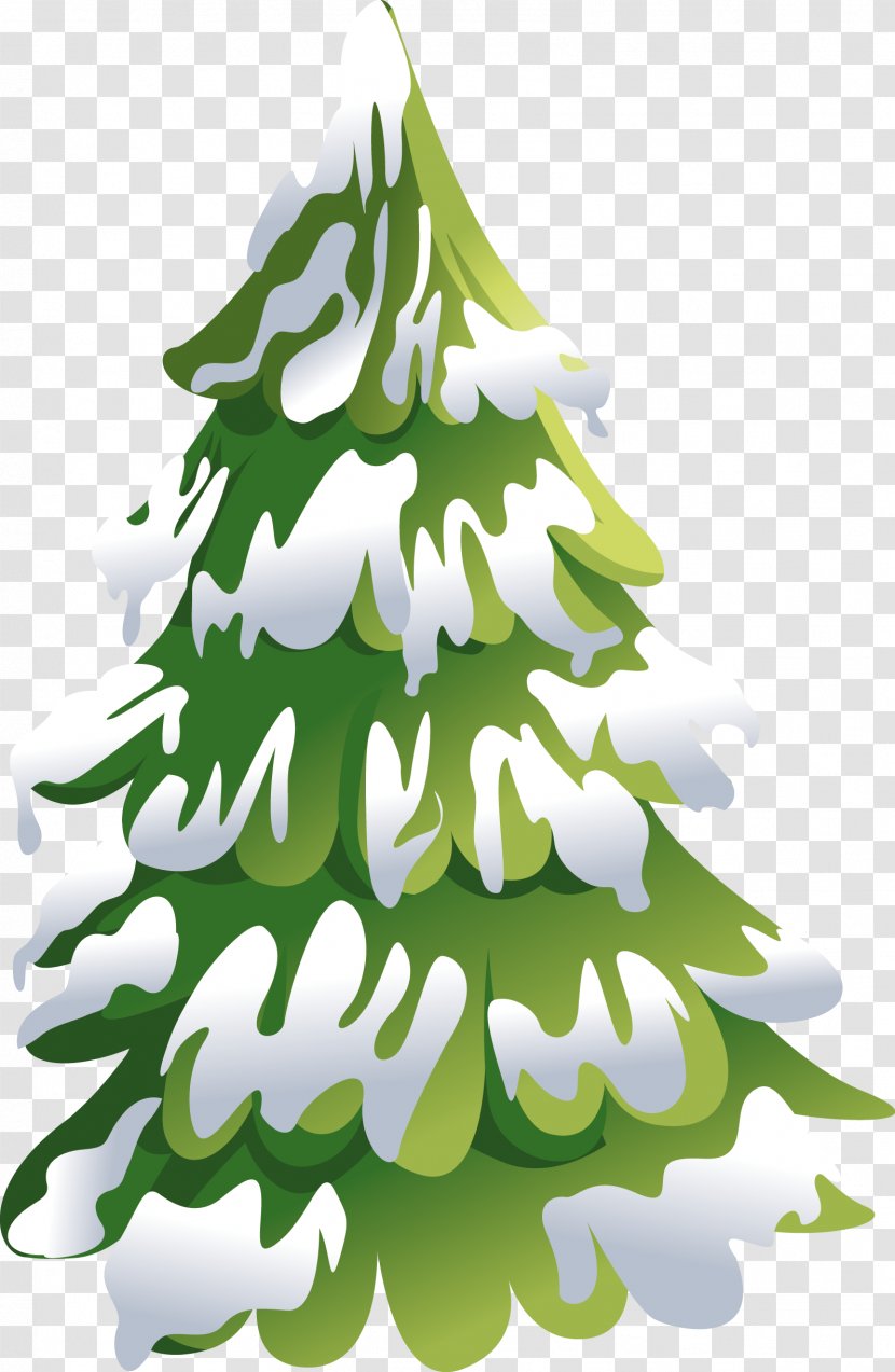 Snow - Pine Family - Seasons Transparent PNG