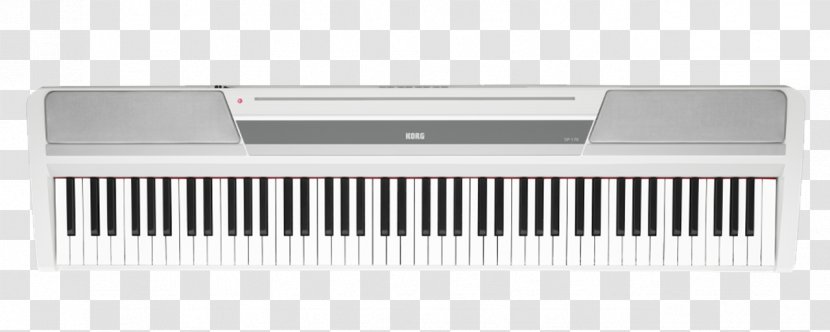 Digital Piano Musical Instruments Korg Stage - Heart Transparent PNG