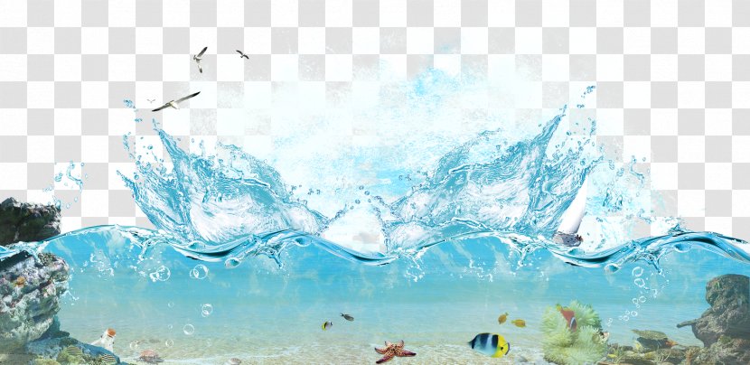 Poster - Iceberg - Seawater Travel Transparent PNG