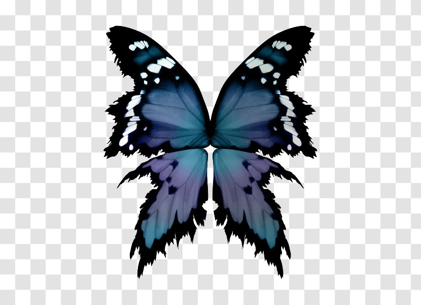 Butterfly Painting Brush Symmetry - Moths And Butterflies Transparent PNG