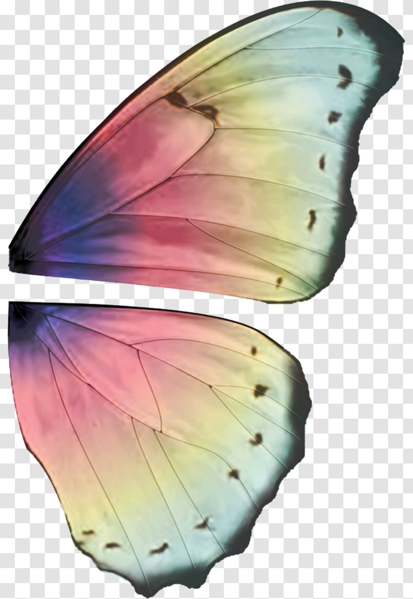 Fairy Butterfly Buffalo Wing Elf - Ali Transparent PNG