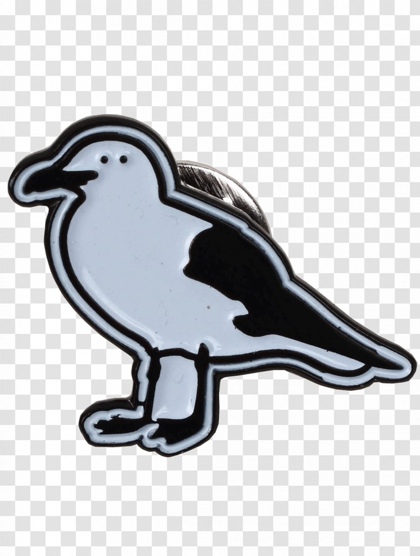 Water Bird Goose Cygnini Duck - Beak - Gull Transparent PNG