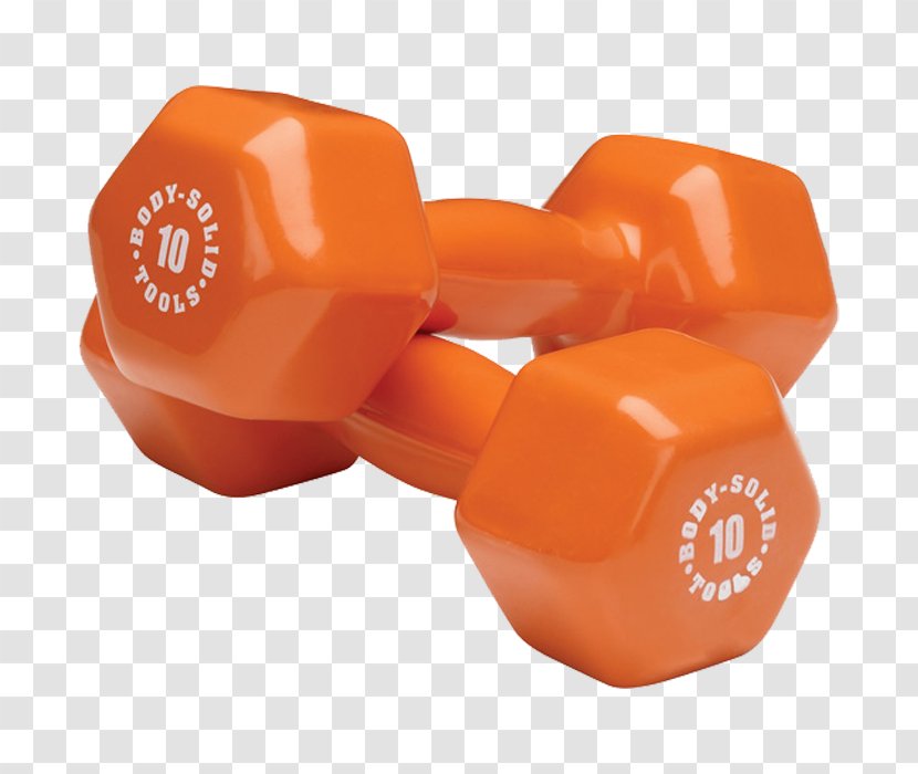 Dumbbell Weight Training Exercise Equipment Strength - Physical Fitness Transparent PNG