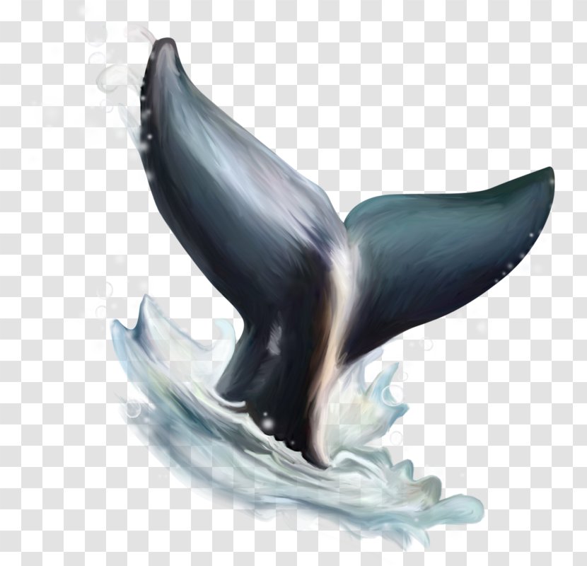 Dolphin Figurine Beak - Organism Transparent PNG