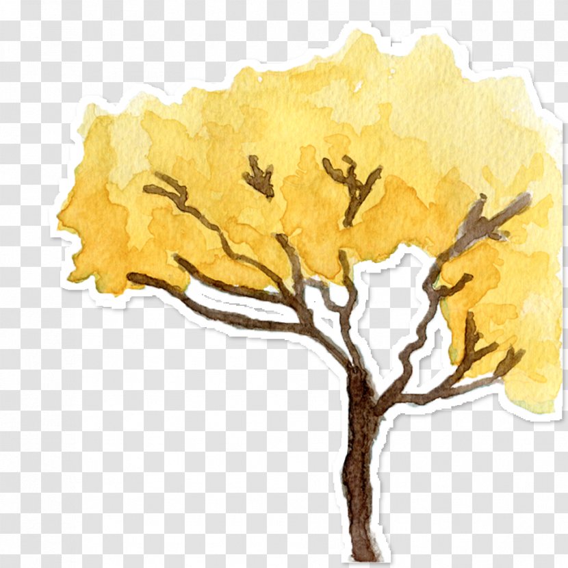 Handroanthus Albus Art Cerrado Yellow Illustration - Tree - Adesivos Stamp Transparent PNG