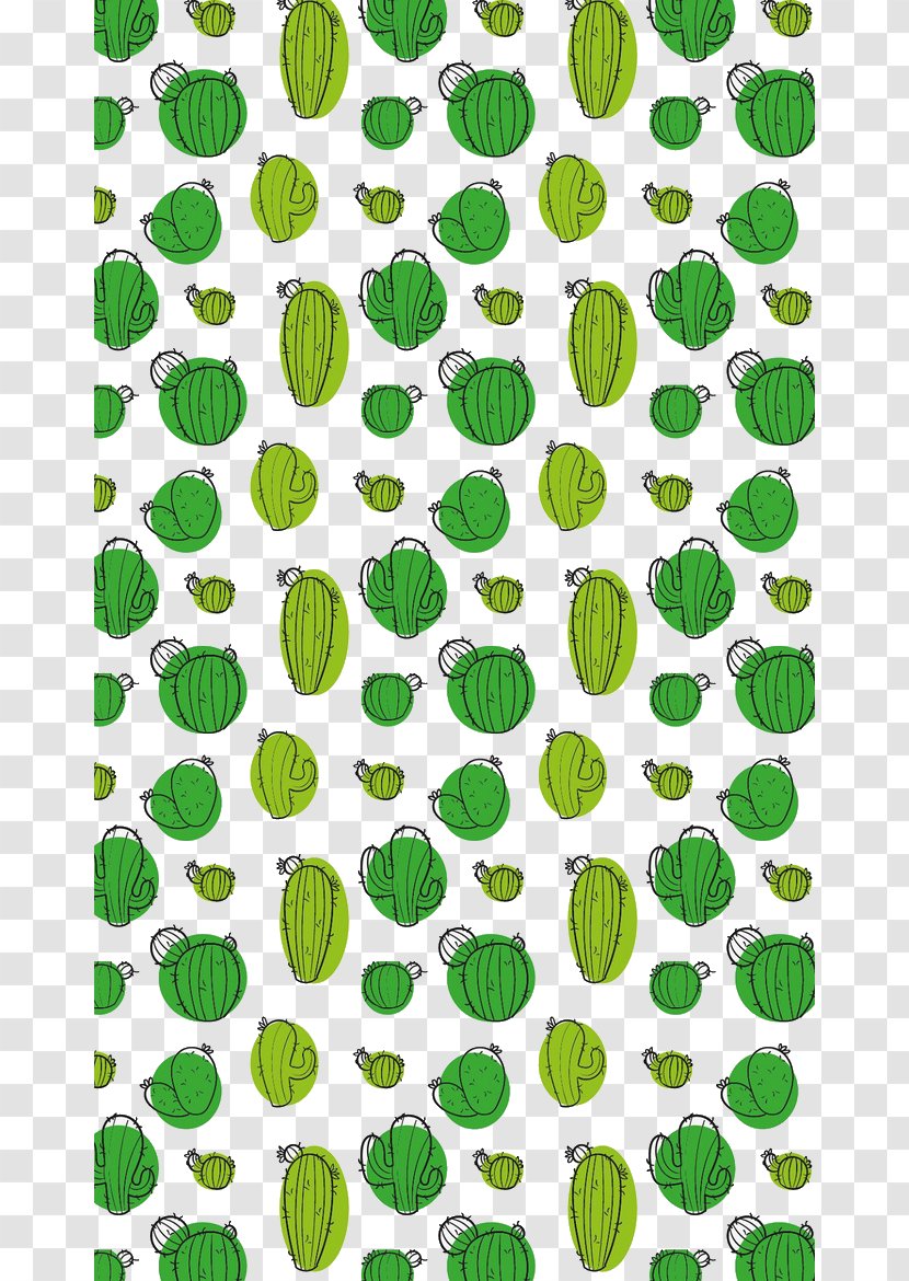 Cactaceae Green Wallpaper - Poster - Cactus Background Transparent PNG