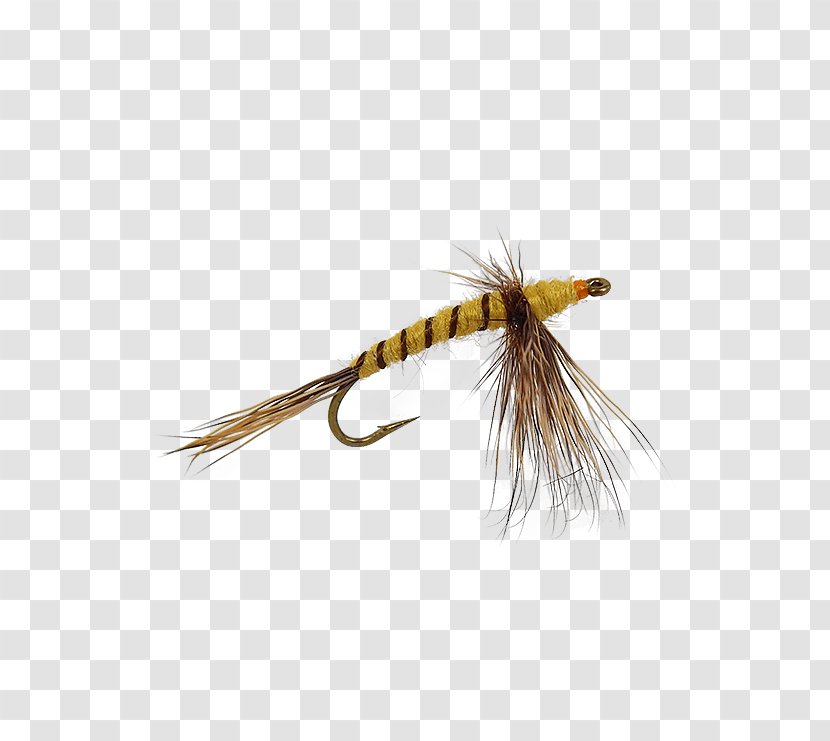 Artificial Fly Woolly Bugger 2000 Ford Ranger XL Electric NIMH Lead Acid - Watercolor - Dry Flies Transparent PNG