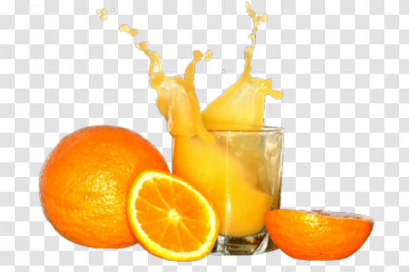 Orange Juice Drink Milkshake SunnyD - Natural Transparent PNG