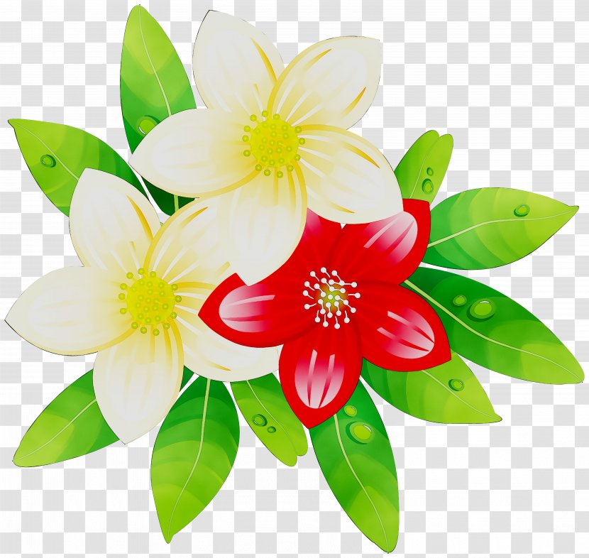 Petal Floristry Cut Flowers Flowering Plant - Plants - Botany Transparent PNG