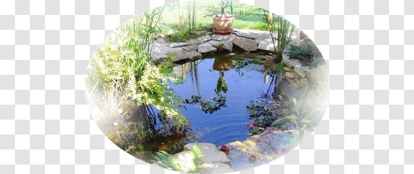 Camping Les Jardins De Lorient Kergal April - Pond - Reflection Transparent PNG