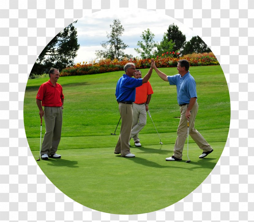 Pitch And Putt Golf Clubs Course Professional Golfer - Outdoor Recreation Transparent PNG