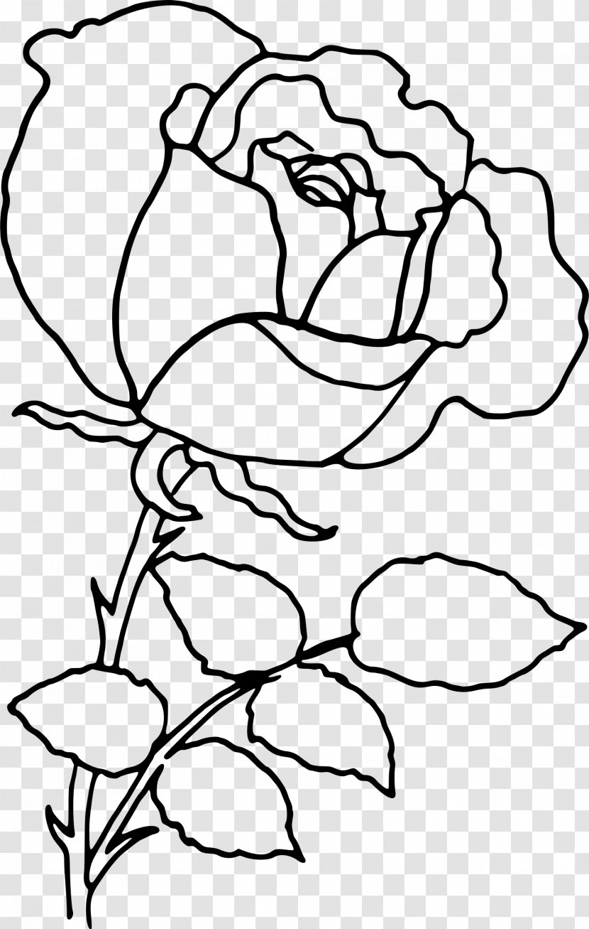 Rose Flower Drawing Clip Art - Line Transparent PNG