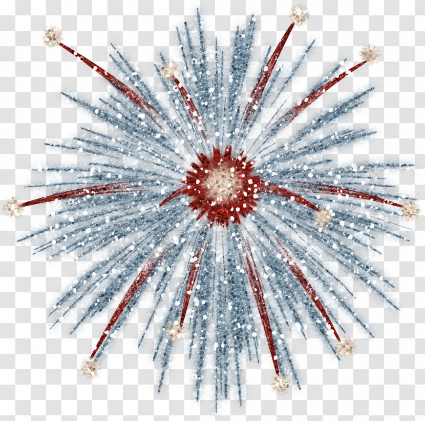 Fireworks Pyrotechnics - Explosion Transparent PNG