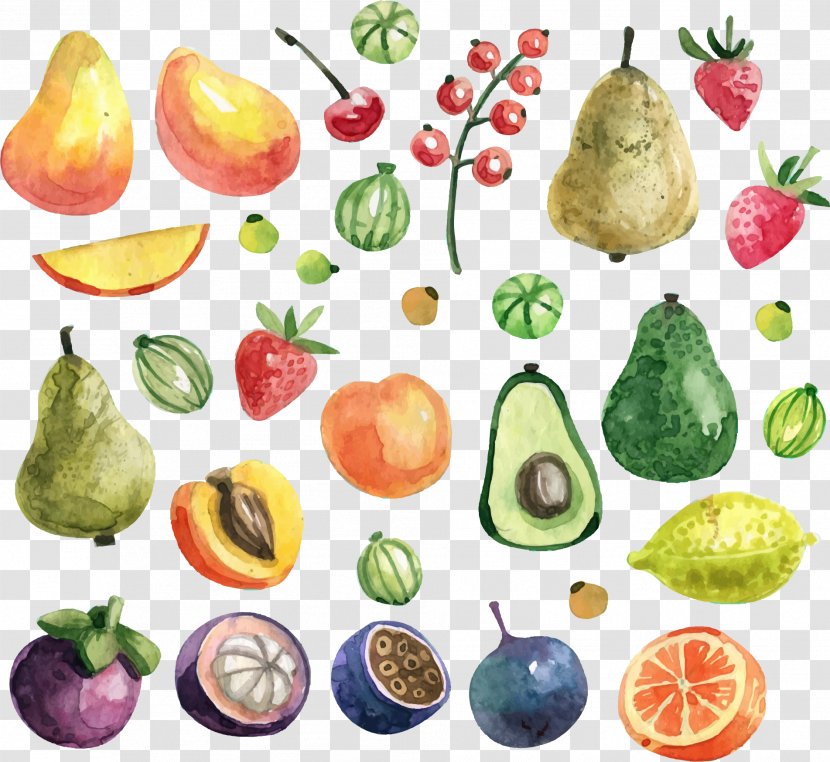 Fruit Watercolor Painting Apricot - Vegetarian Food - Green Avocado Transparent PNG