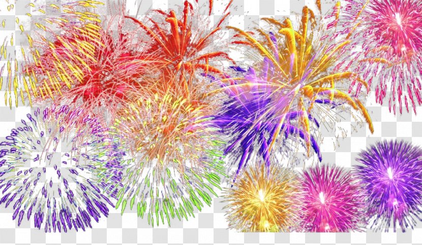 Fireworks Download - Color Transparent PNG