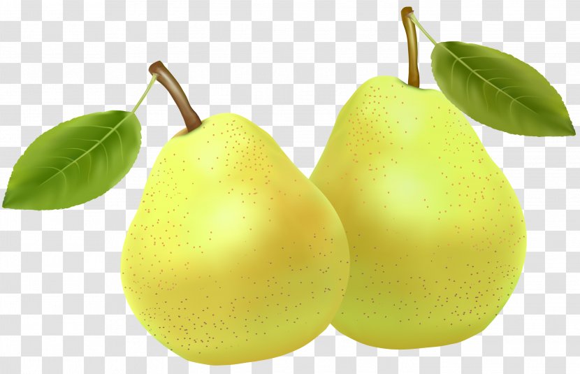 Pear Fruit Clipping Path Clip Art Transparent PNG