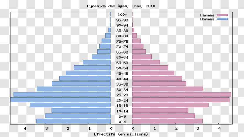 Population Pyramid Demography Statistics - Census Transparent PNG