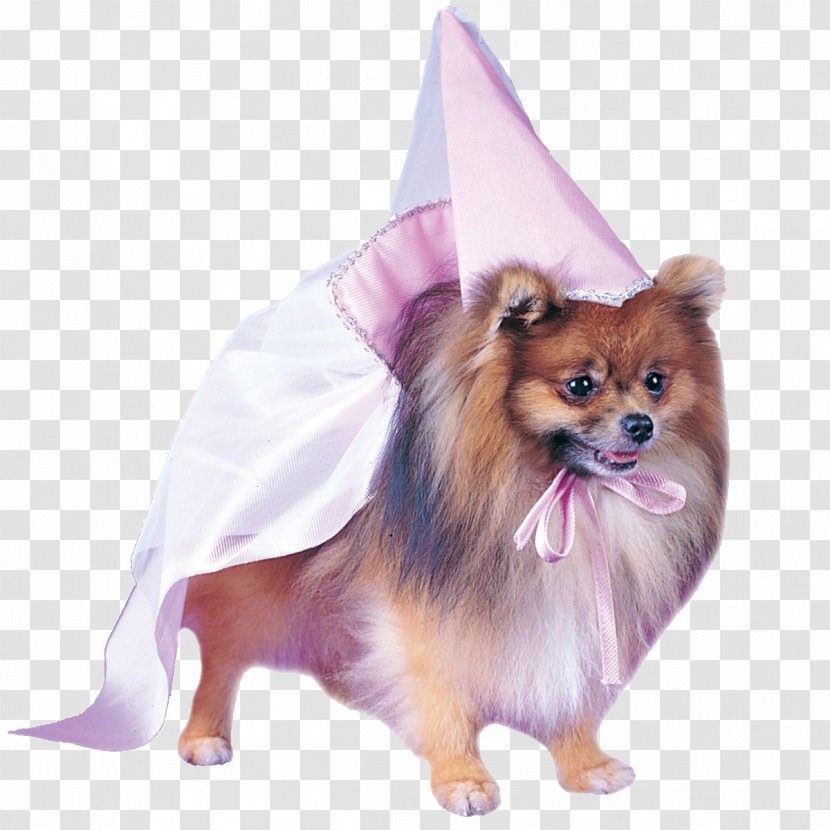 Halloween Costume Pet Dress Pomeranian - Dog Breed Transparent PNG