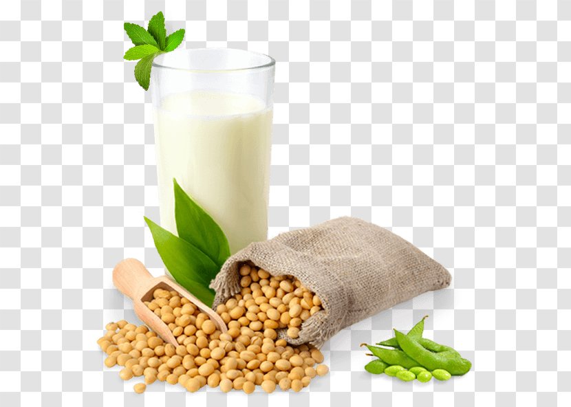 Soy Milk Tomato Juice Vegetarian Cuisine - Soybean - Smoothies Transparent PNG