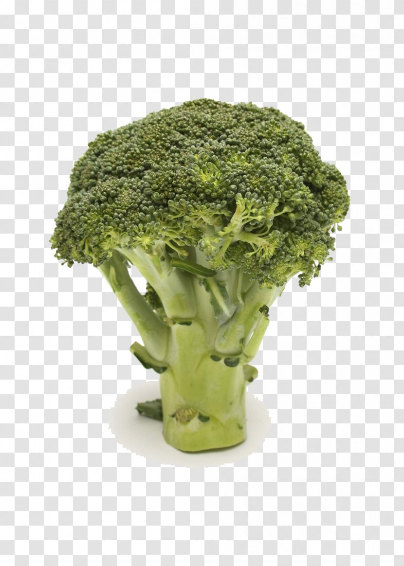 Broccoli Leaf Vegetable Food Plant - Cabbage - Grass Transparent PNG