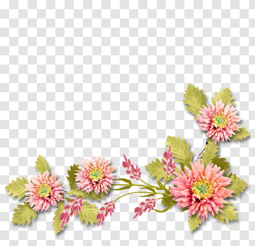 Floral Design Flower Blog Clip Art - Flowering Plant Transparent PNG
