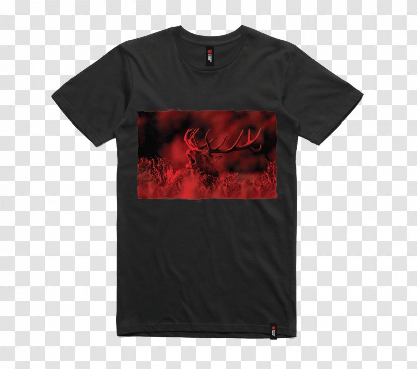 T-shirt Font - Brand Transparent PNG