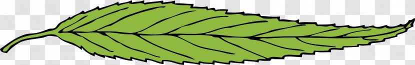 Leaf Clip Art Image - Invertebrate - Thin And Small Transparent PNG