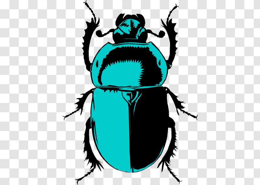 Beetle Insect - Scarabaeus - Blowflies Jewel Beetles Transparent PNG