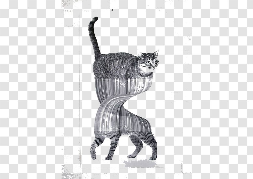 Cat Drawing Art Illustration - Twisted Transparent PNG