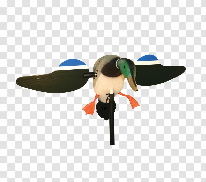 MOJO Mallard Drake Decoy Duck - Headgear Transparent PNG